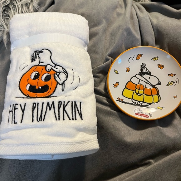 Snoopy Towel and Plate Set - Picture 1 of 3